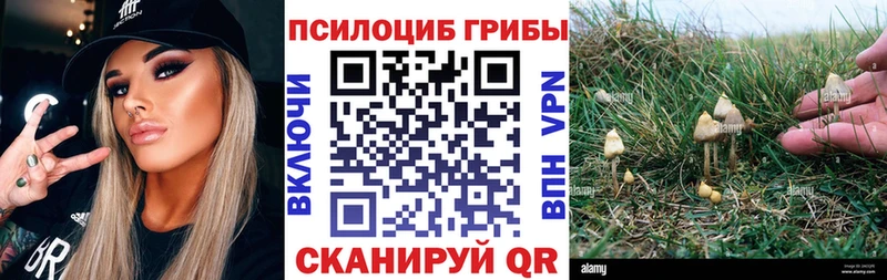 Галлюциногенные грибы Psilocybe  даркнет сайт  Дмитриев 